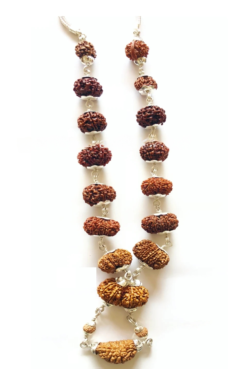 1 - 14 Mukhi Rudraksha Mala (Nepal Origin- Collector Beads)