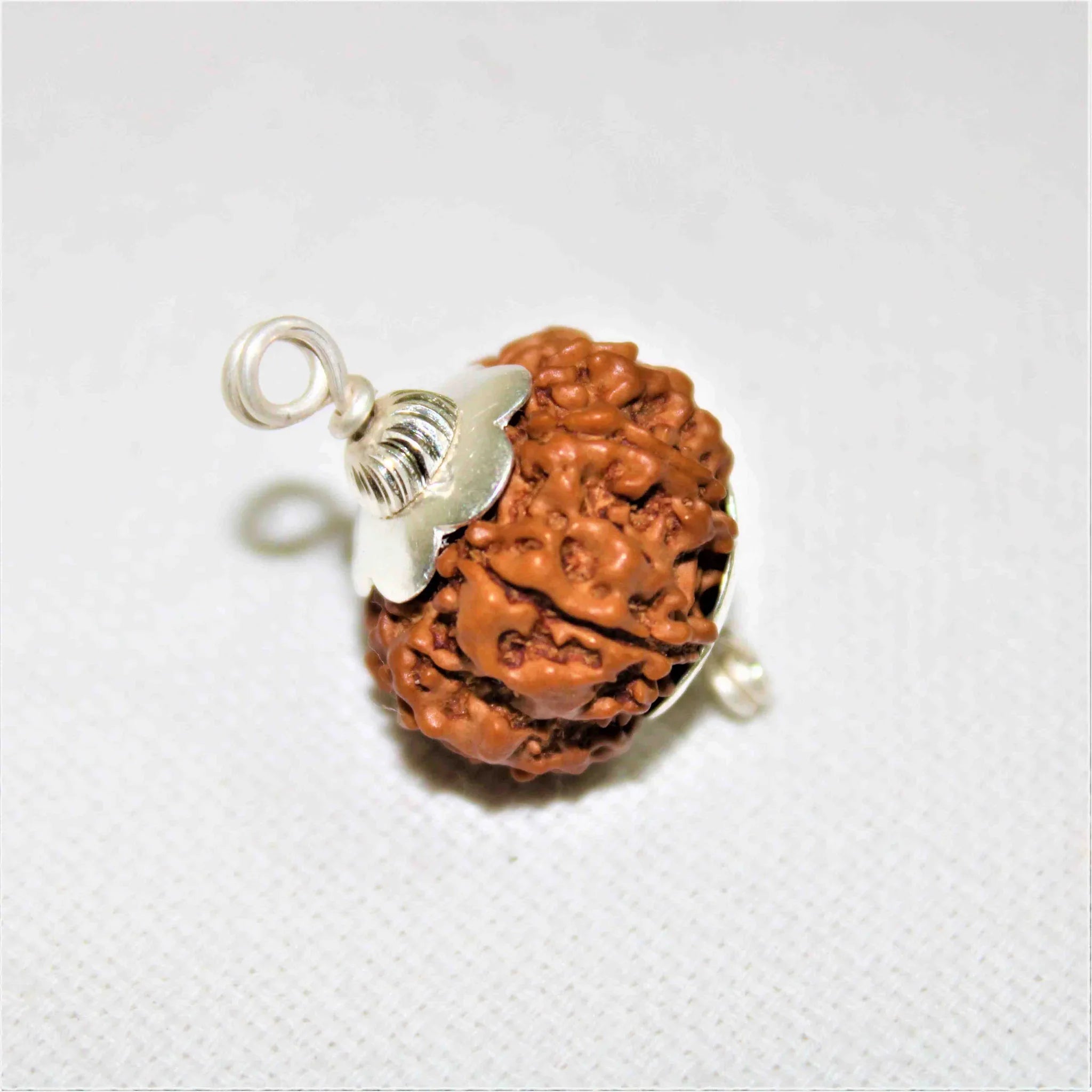 8 MUKHI CERTIFIED RUDRAKSHA (NEPALI ORIGIN)