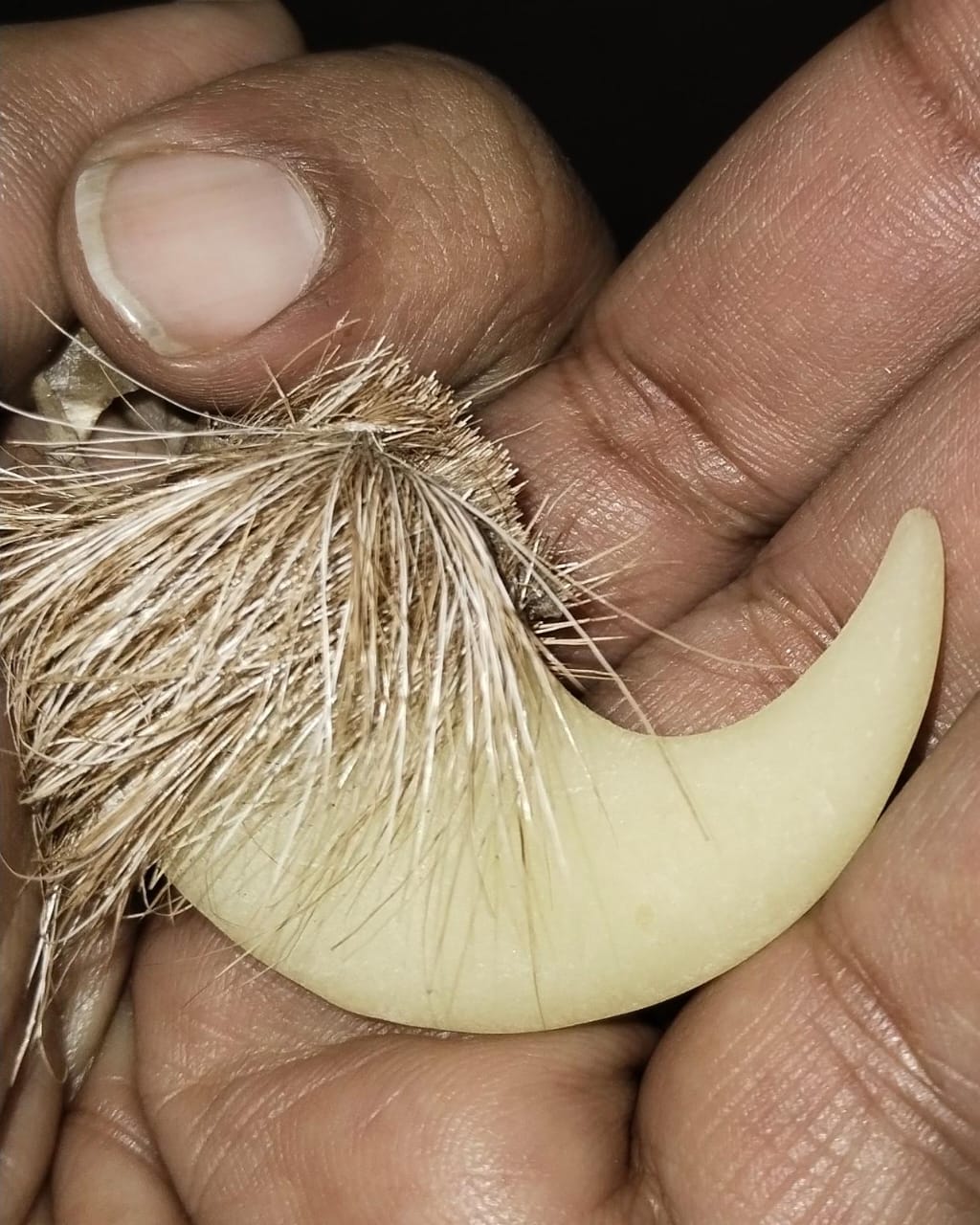 Natural Claw Pair – Symbol of Power Protection