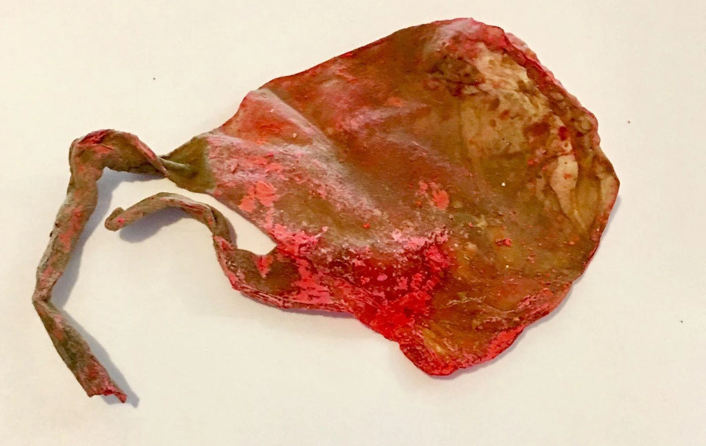 Rare Billi Ki Jer | The Ultimate Symbol of Luck and Success