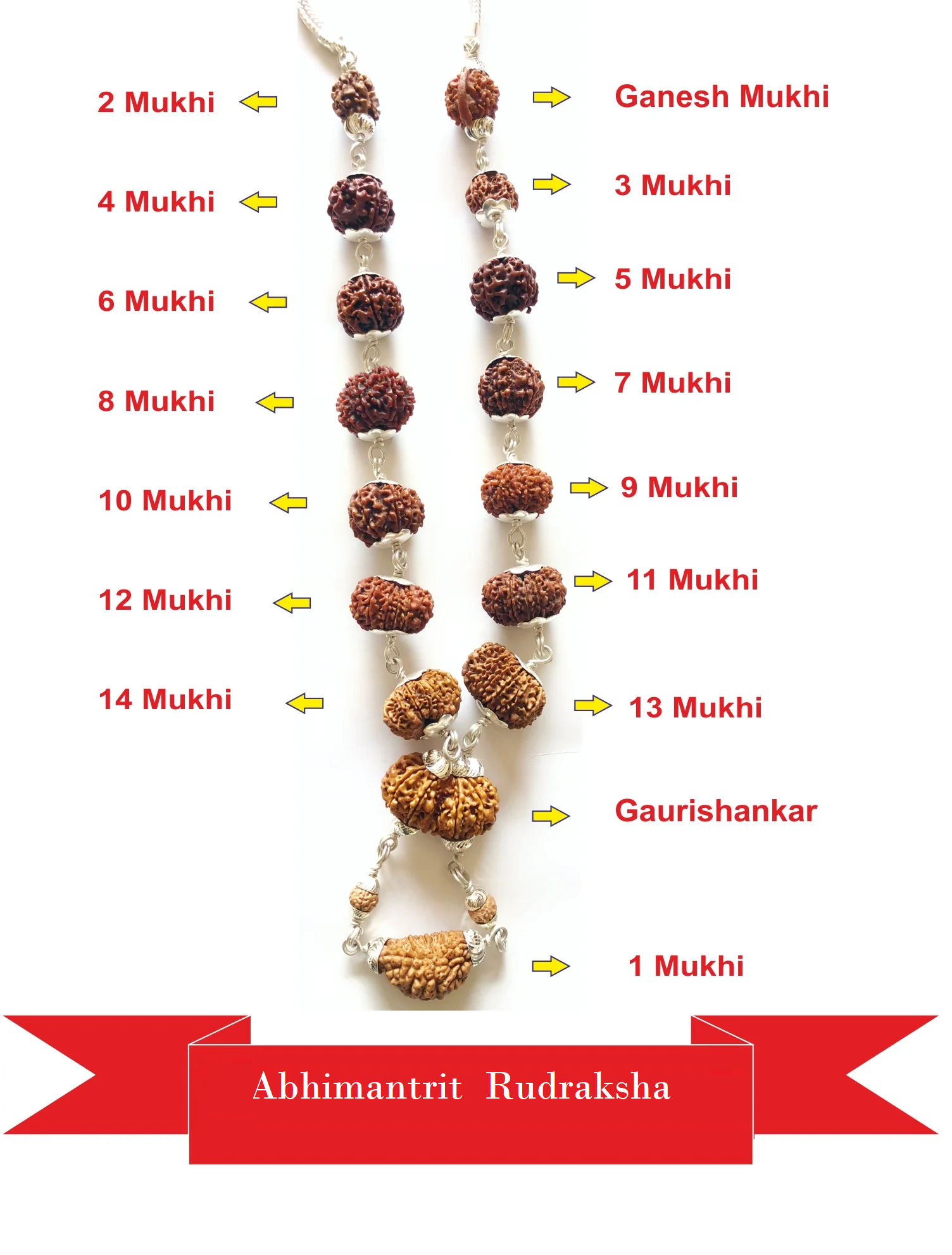 1 - 14 Mukhi Rudraksha Mala (Nepal Origin- Collector Beads)