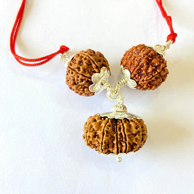 7,8 & 14 Mukhi Rudraksha Combination For (Brokers & Indsutrialists)