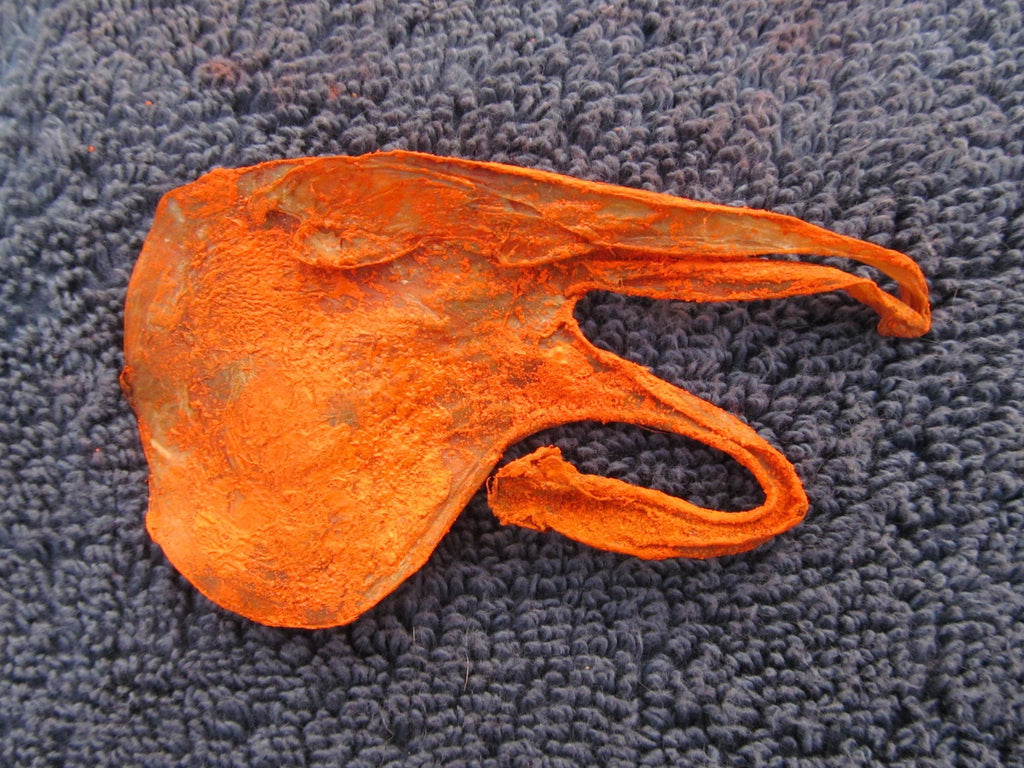 Rare Billi Ki Jer | The Ultimate Symbol of Luck and Success