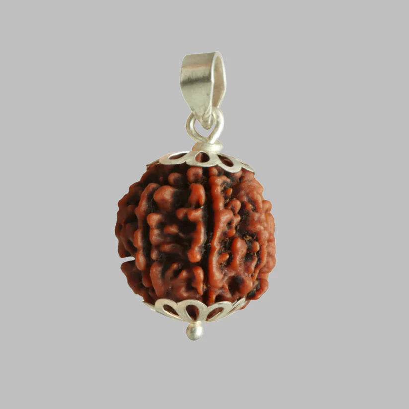 7 MUKHI CERTIFIED RUDRAKSH NEPAL