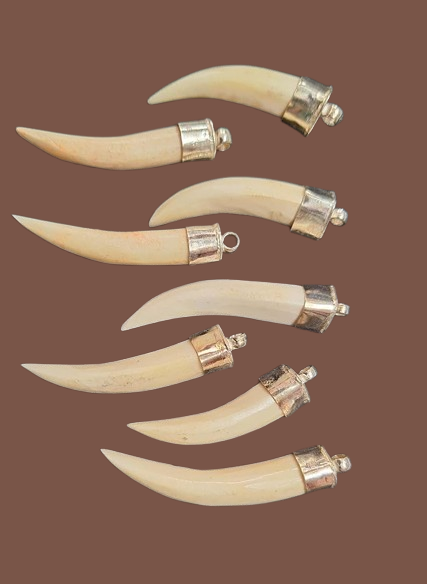 Original Abhimantrit Shukar Dant – Powerful Varaha Kavach for Protection & Victory